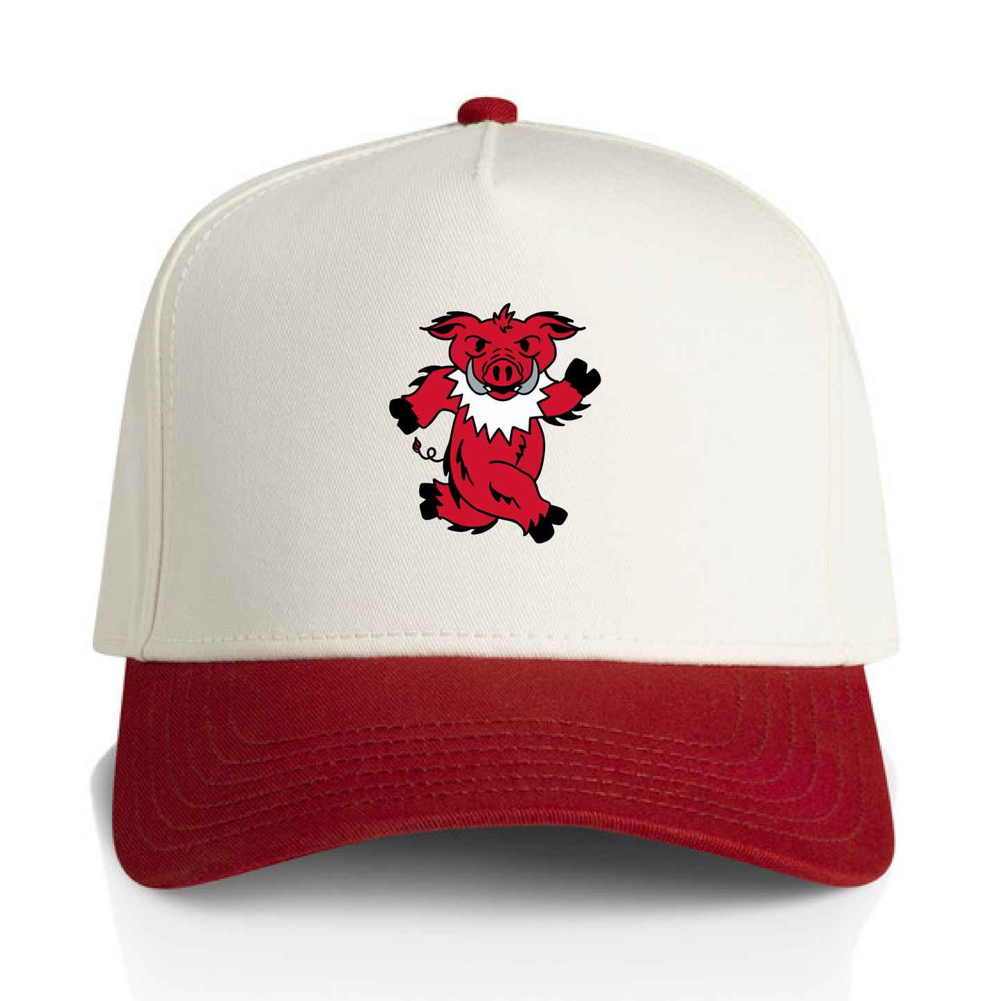 Fayetteville Two Tone Hat