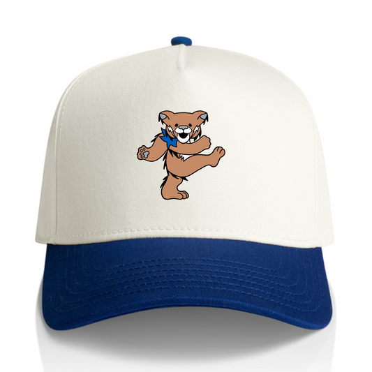 Lexington Two Tone Hat