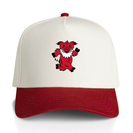 Fayetteville Two Tone Hat
