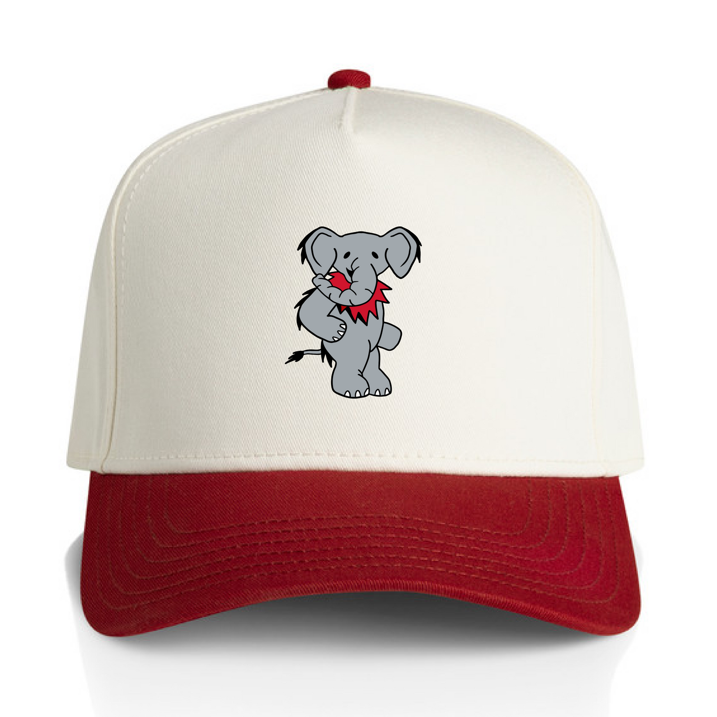 Tuscaloosa Two Tone Hat