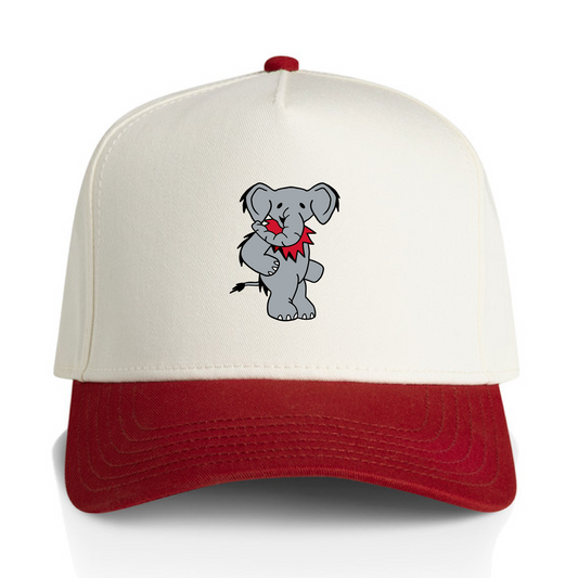 Tuscaloosa Two Tone Hat