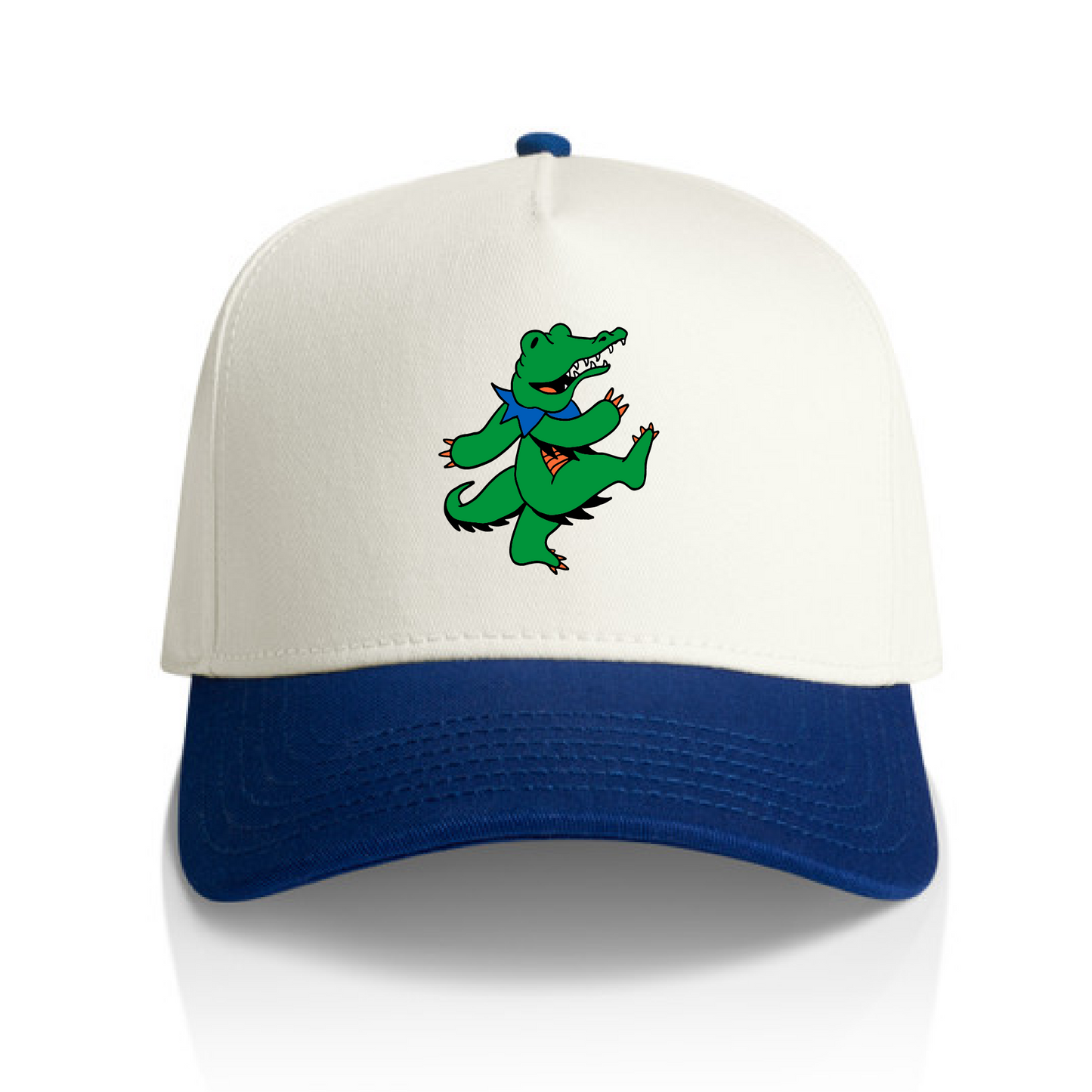 Gainesville Two Tone Hat