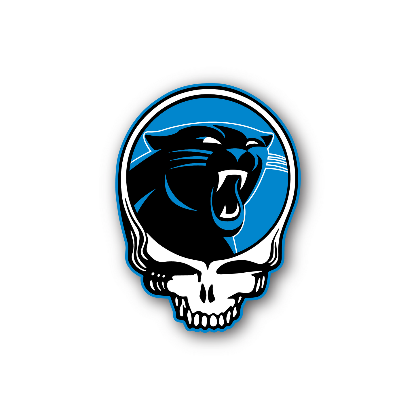 Carolina Sticker Pack (2 for $5)
