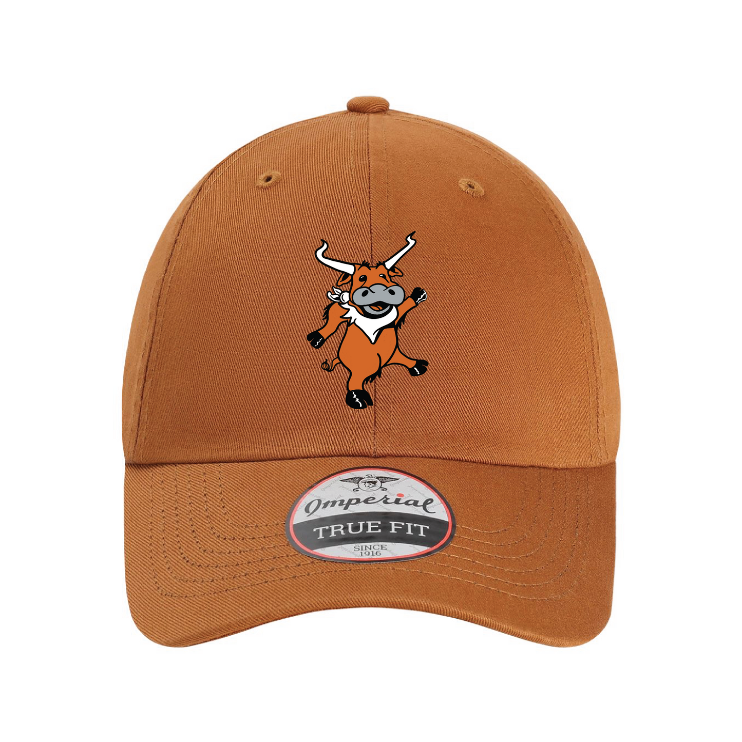 Austin Dad Hat