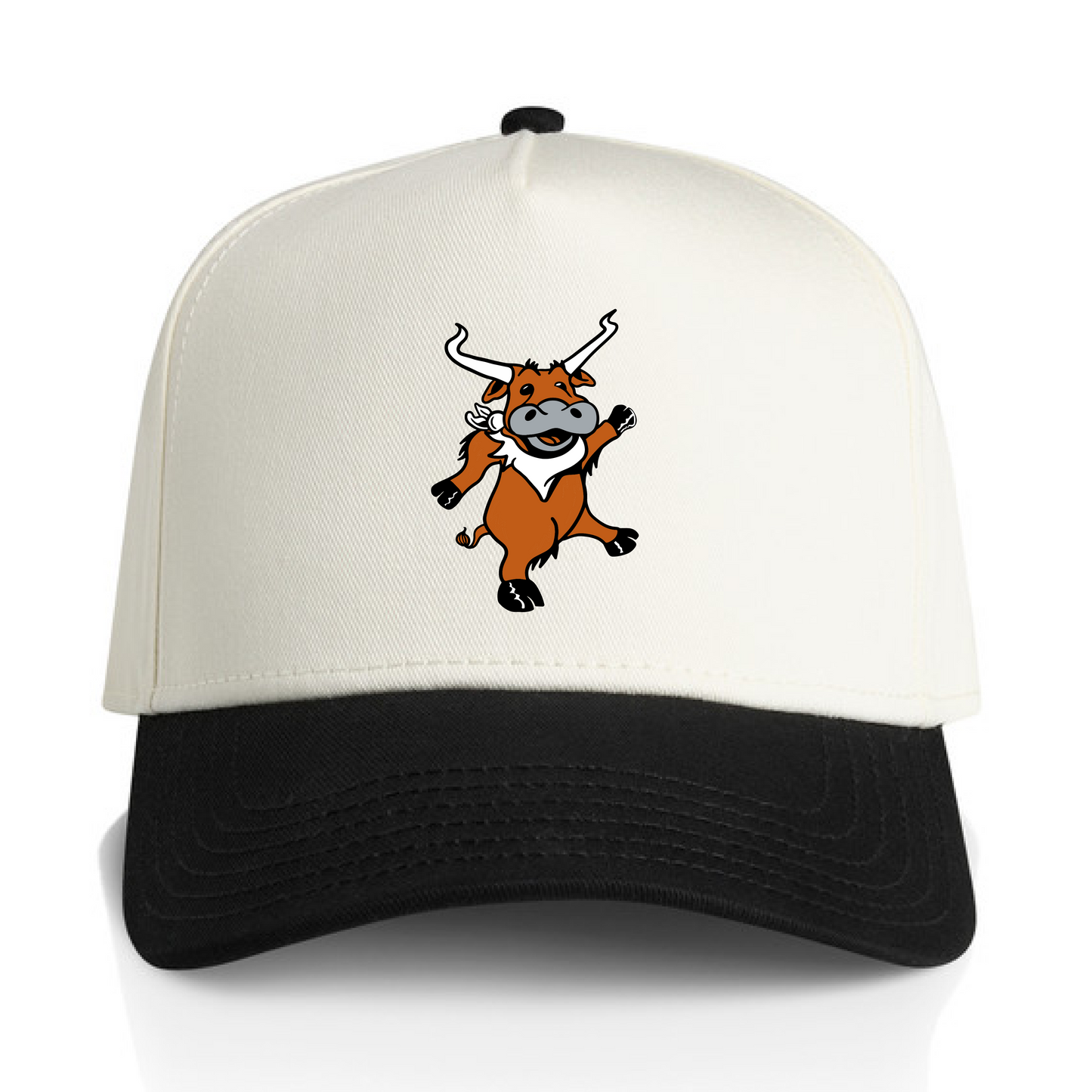 Austin Two Tone Hat